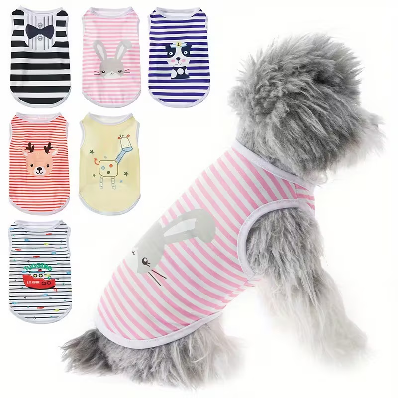 Lindo chaleco refrescante de v - Summer Clothing In French reseña y precio